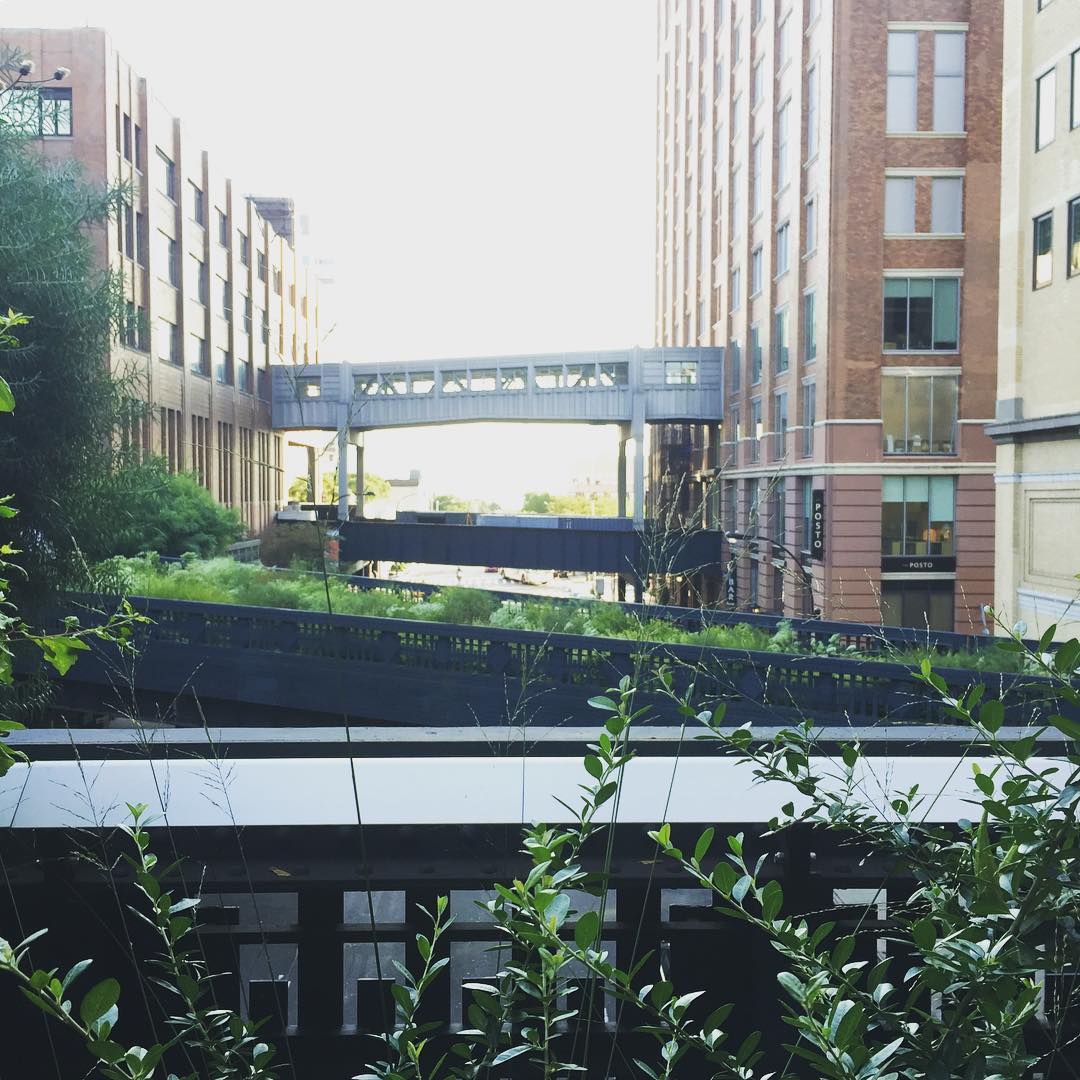 High Line Bridges