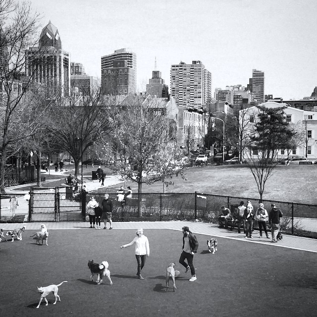 Schuylkill River Dog Park